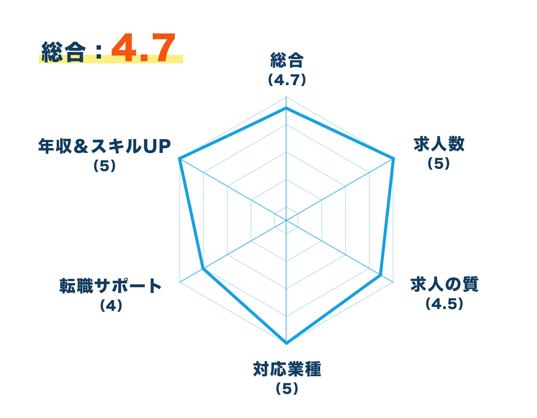 レーダーチャート